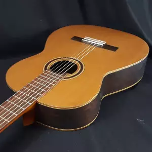 بررسی ویژگی و مشخصات گیتار آدمیرا ایرنه